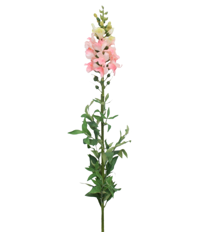 Muflier rose artificiel
