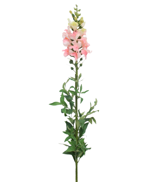 Muflier rose artificiel