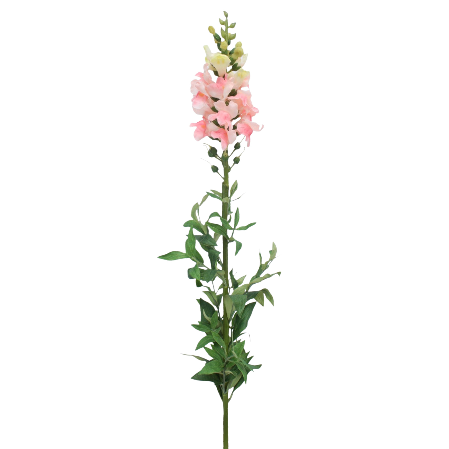 Muflier rose artificiel
