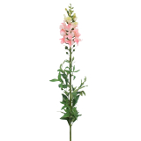 Muflier rose artificiel