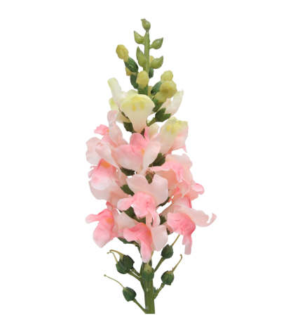 Muflier rose artificiel