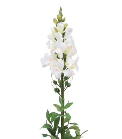 Muflier blanc artificiel