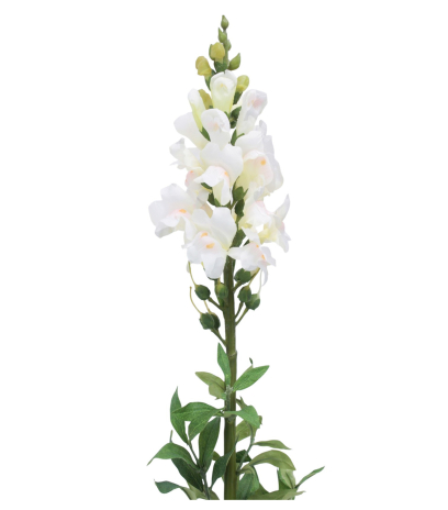 Muflier blanc artificiel
