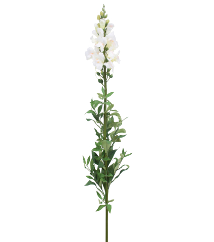 Muflier blanc artificiel