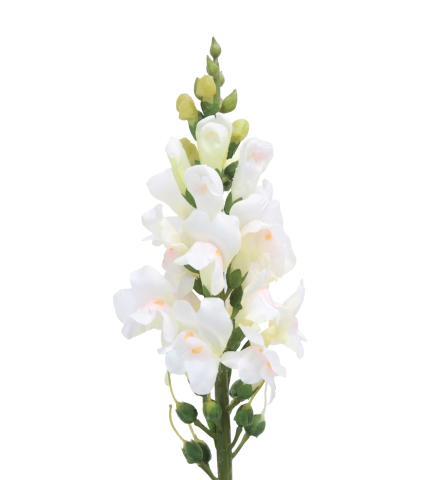Muflier blanc artificiel