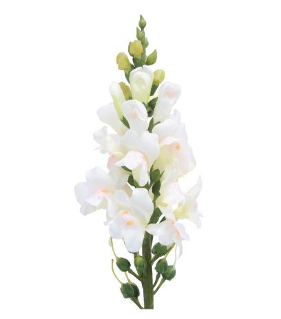 Muflier blanc artificiel
