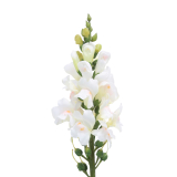 Muflier blanc artificiel