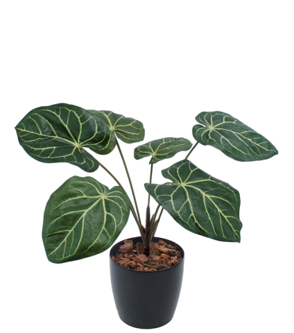 Caladium artificiel