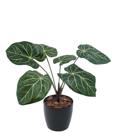 Caladium artificiel