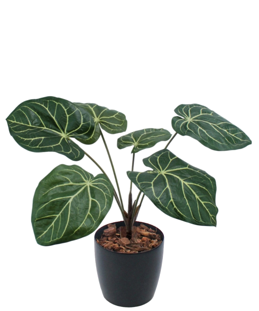 Caladium artificiel