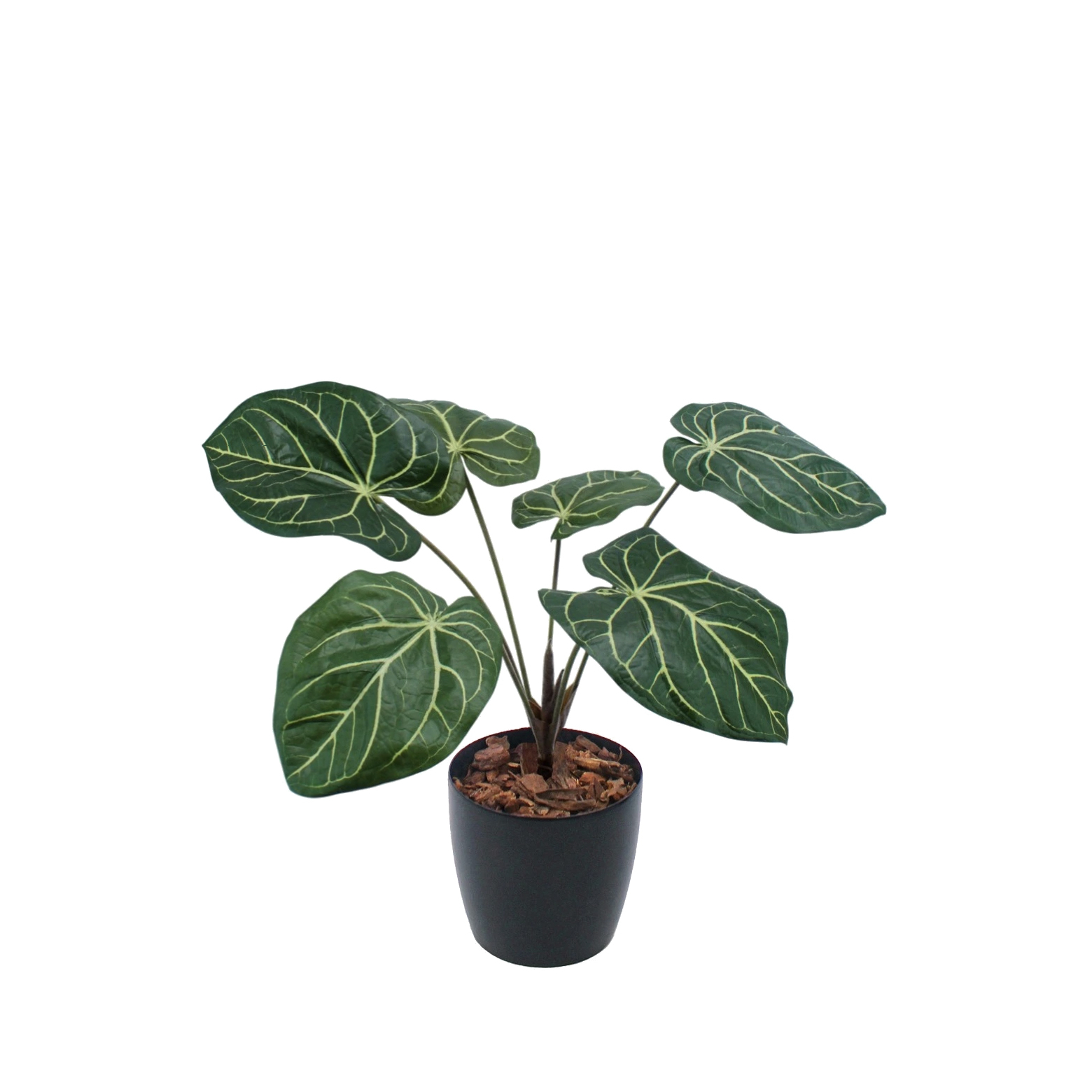Caladium artificiel