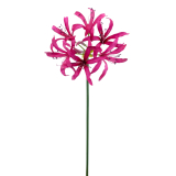 Lys de Guernesey artificiel