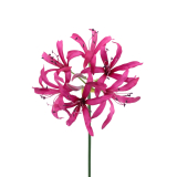 Lys de Guernesey artificiel