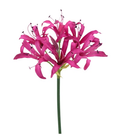 Lys de Guernesey artificiel