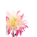 Dahlia artificiel rose et crème