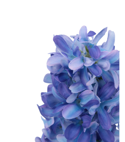 Jacinthe artificielle bleue violacée