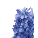 Jacinthe artificielle bleue violacée