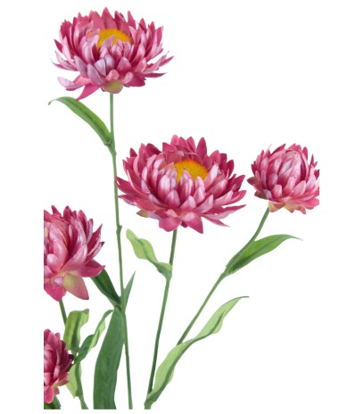 Immortelle artificielle