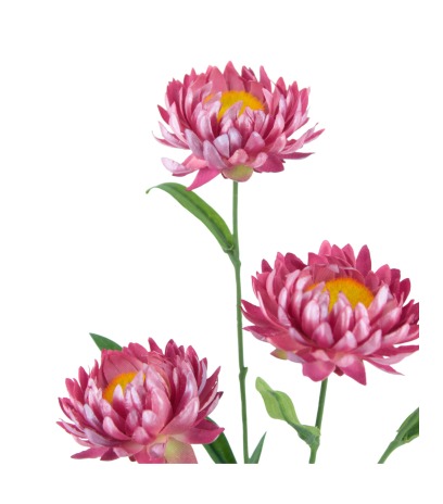 Immortelle artificielle