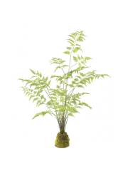 Fougère artificielle pot déco résine