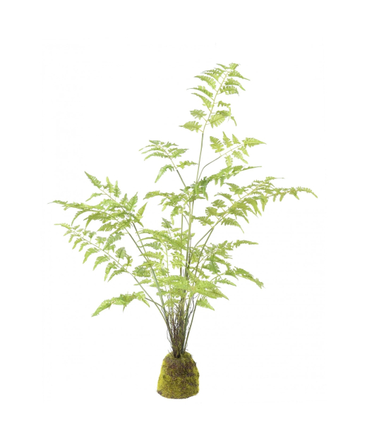 Fougère artificielle pot déco résine