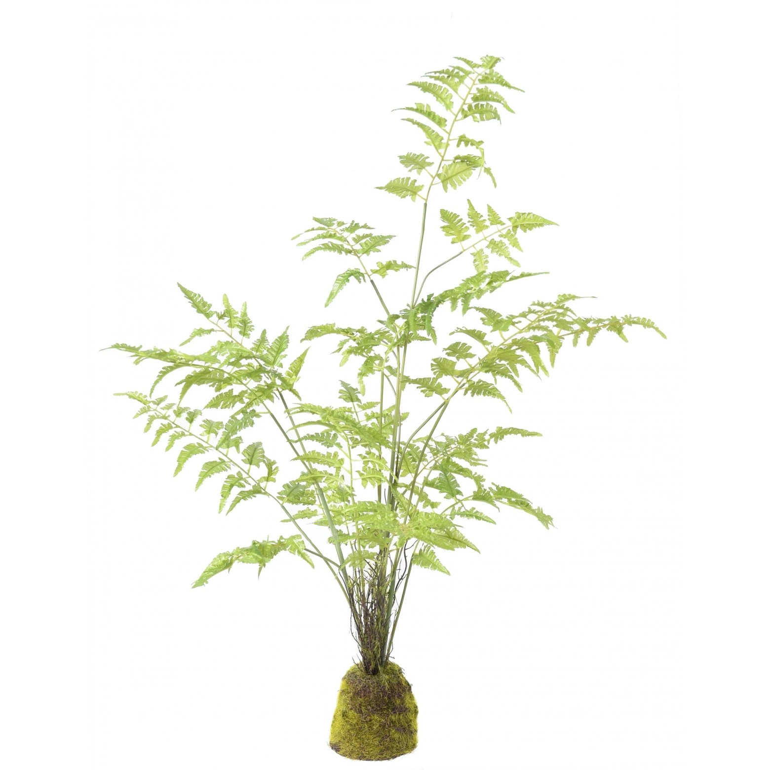 Fougère artificielle pot déco résine