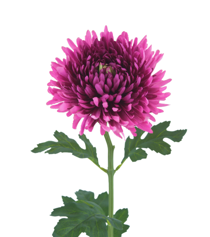 Tige de chrysanthème artificiel fuchsia
