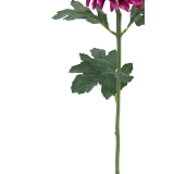 Tige de chrysanthème artificiel fuchsia
