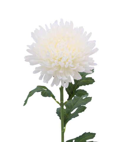 Tige de chrysanthème artificiel blanc