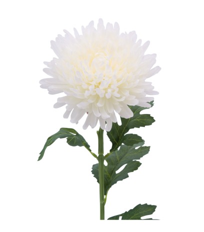 Tige de chrysanthème artificiel blanc