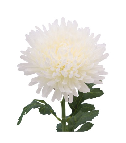 Tige de chrysanthème artificiel blanc