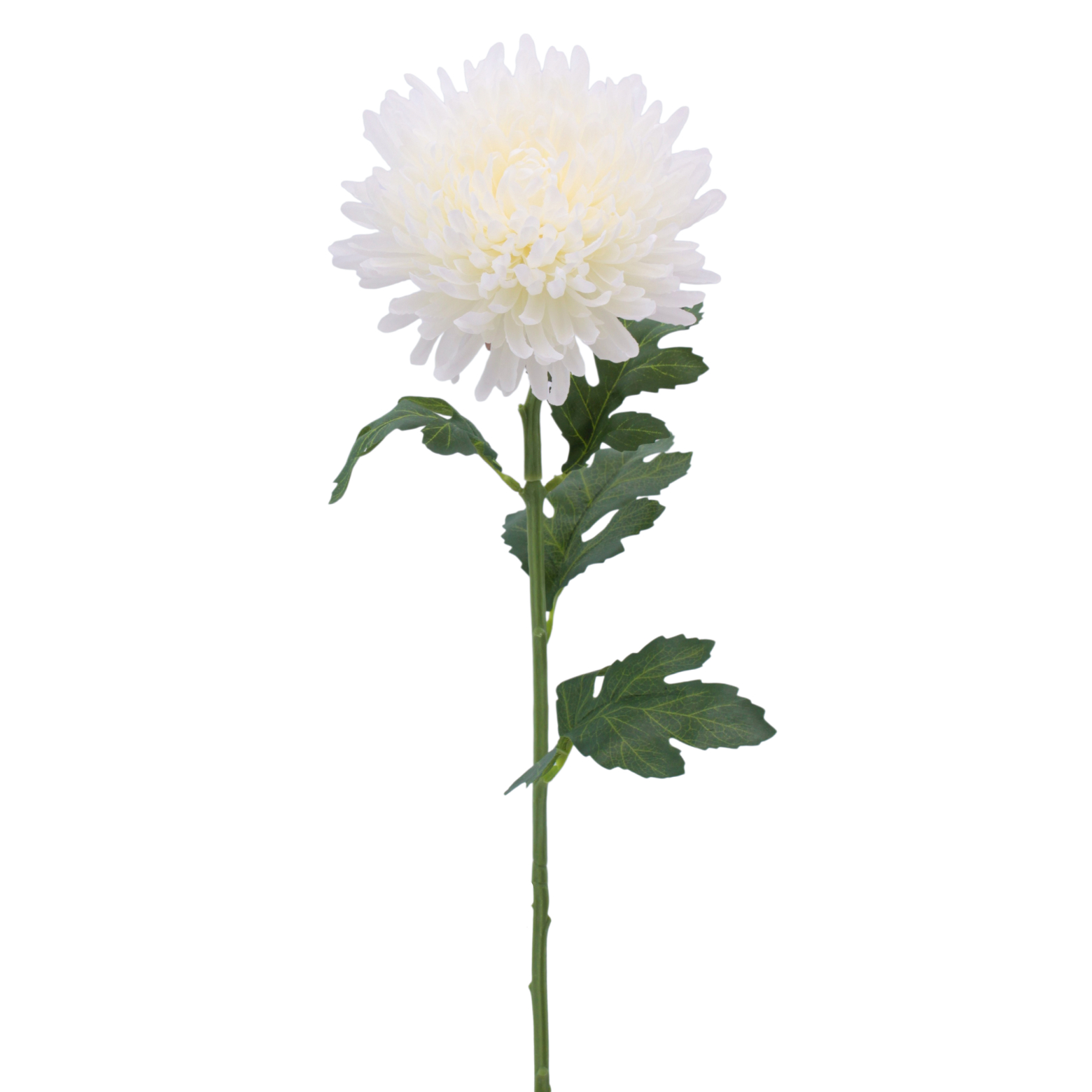 Tige de chrysanthème artificiel blanc
