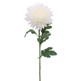 Tige de chrysanthème artificiel blanc