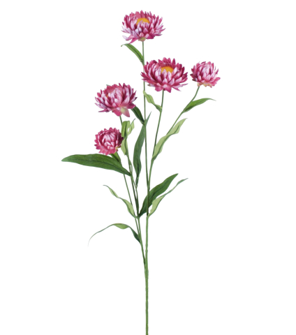 Emerald Immortelle artificielle
