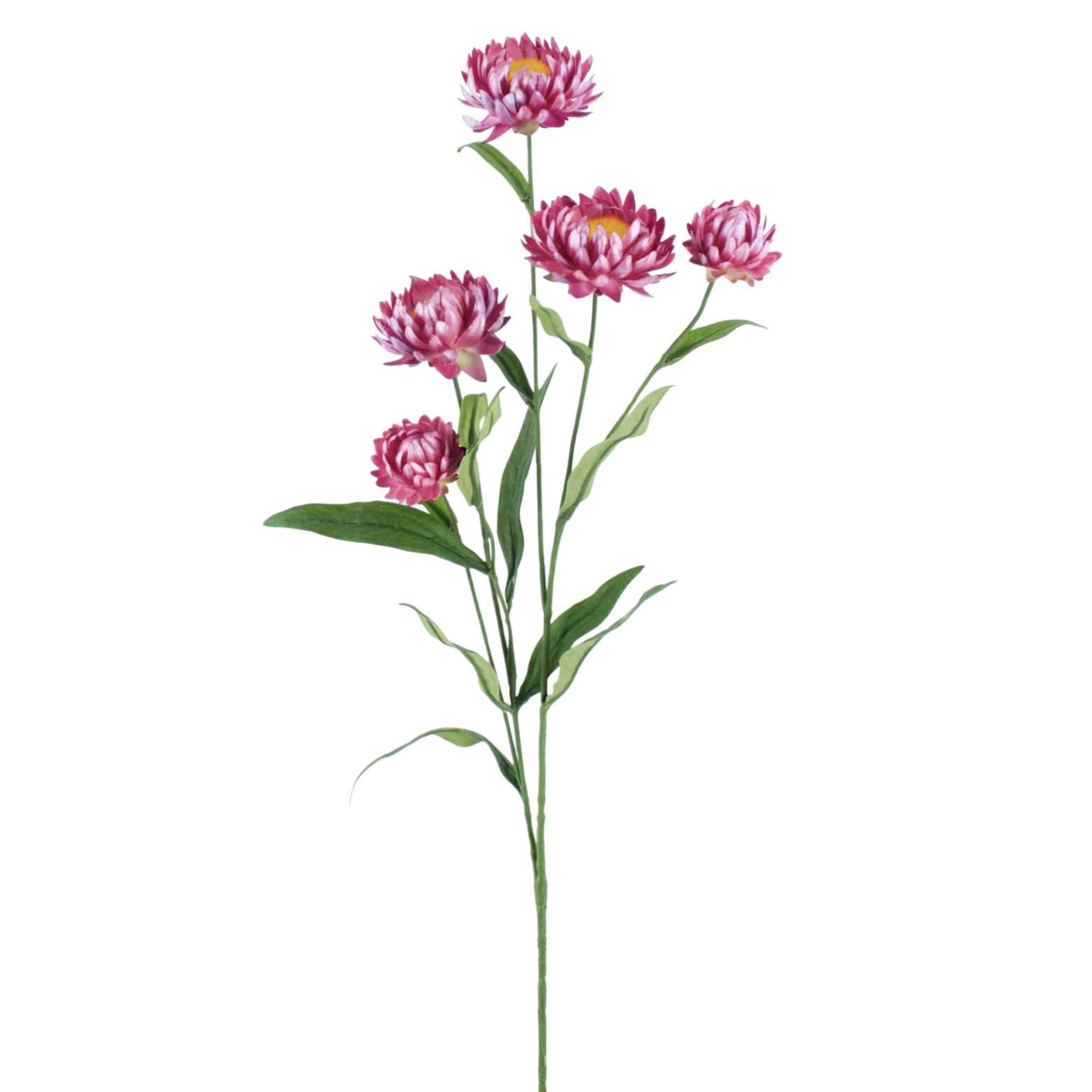 Emerald Immortelle artificielle