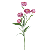 Emerald Immortelle artificielle