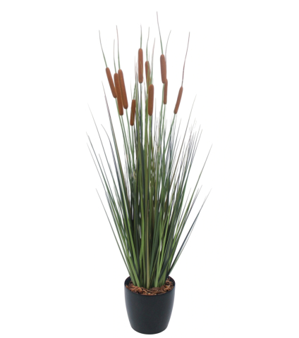 Jonc artificiel latifolia