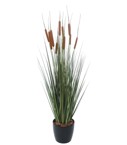 Jonc artificiel latifolia
