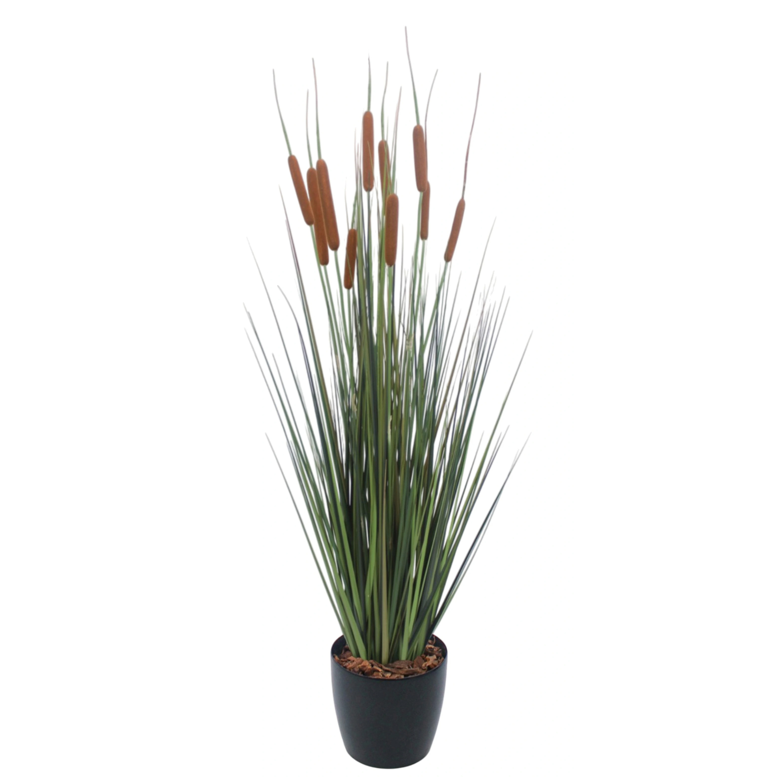 Jonc artificiel latifolia