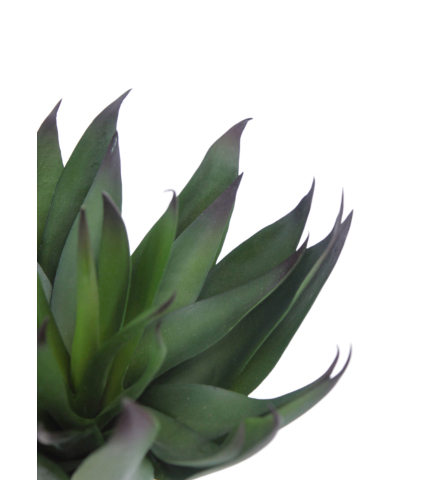 Agave vert artificiel
