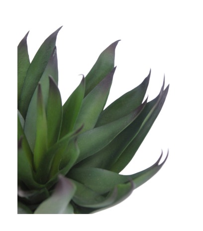Agave vert artificiel