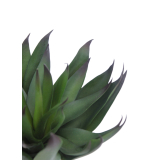 Agave vert artificiel