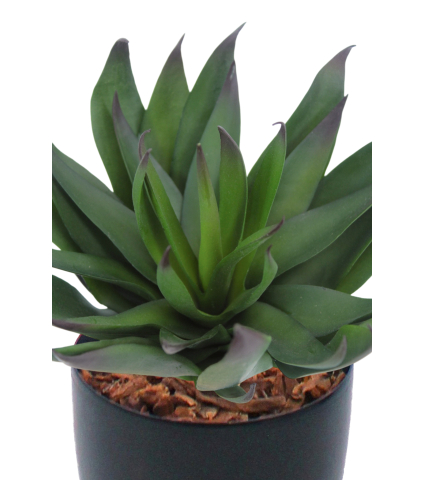 Agave vert artificiel