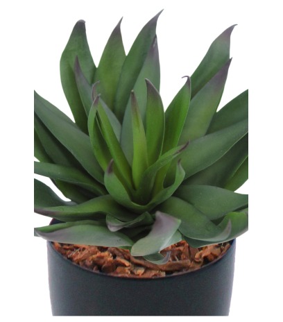 Agave vert artificiel