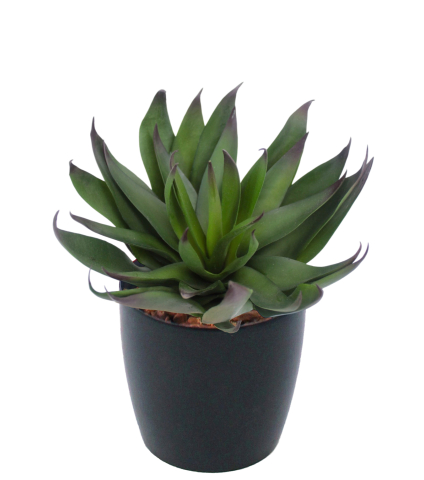 Agave vert artificiel