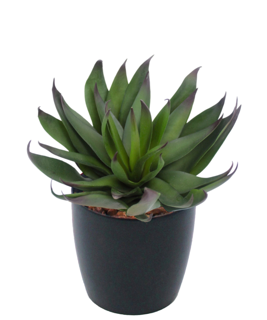 Agave vert artificiel