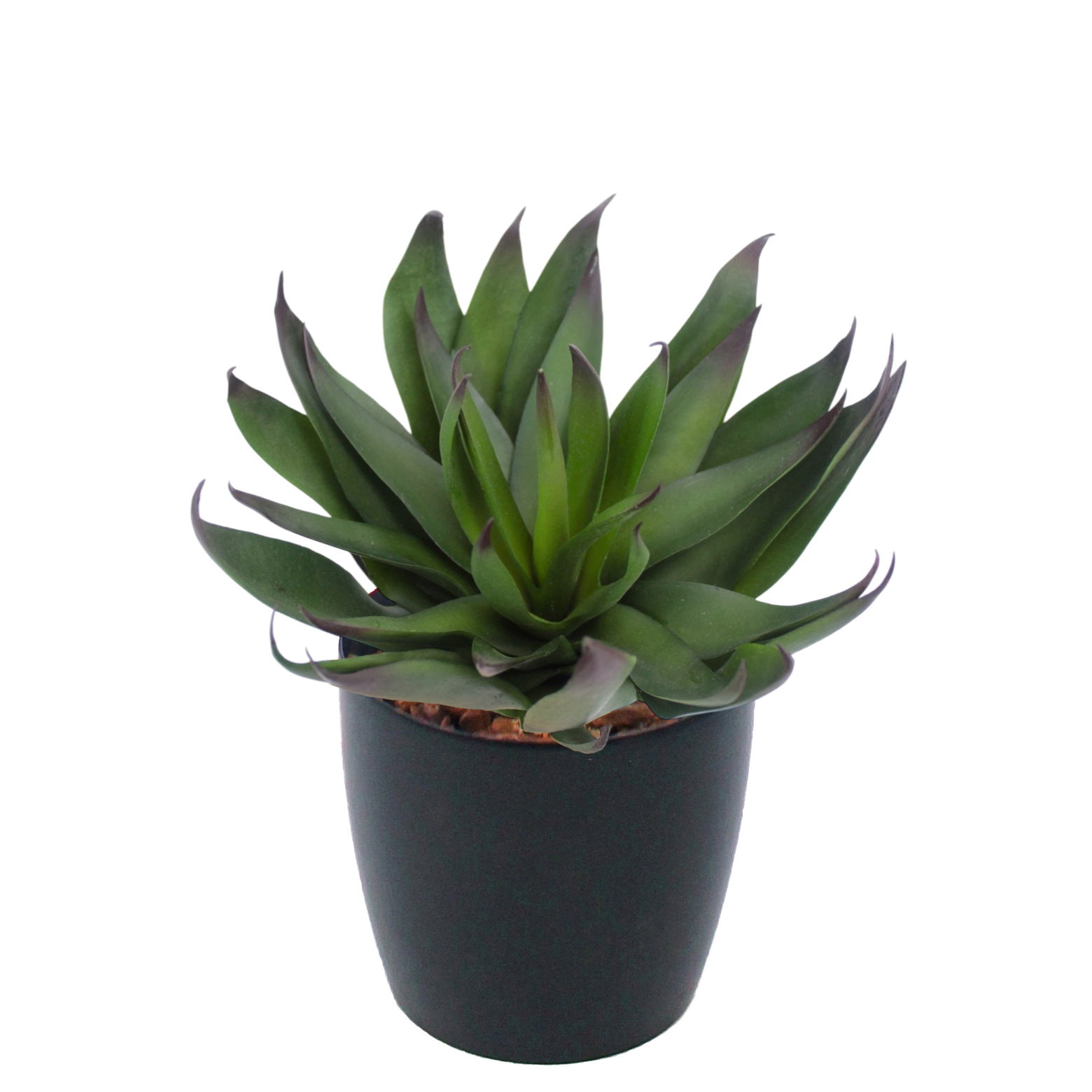 Agave vert artificiel