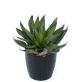 Agave vert artificiel