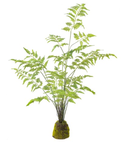 Fougère artificielle pot déco résine
