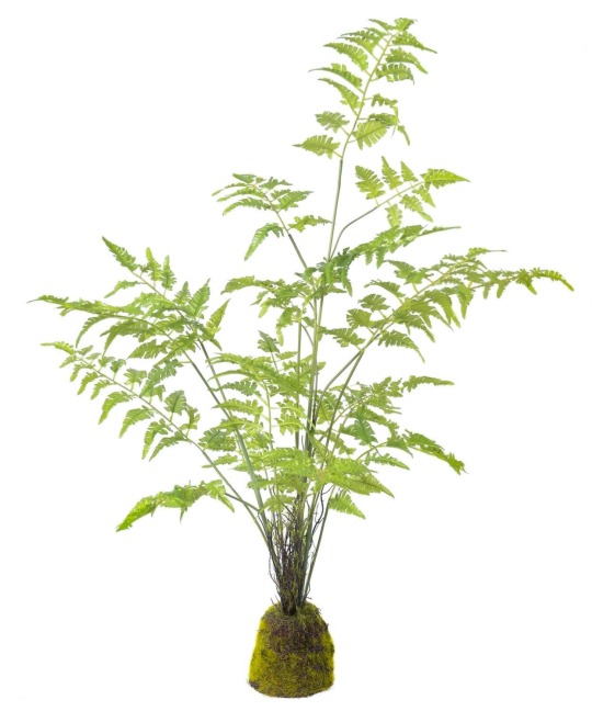 Fougère artificielle pot déco résine
